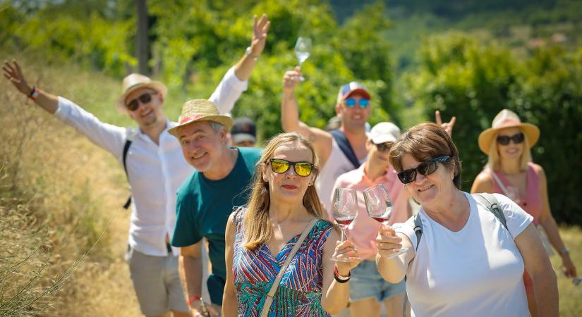 Mindig van mit mesélniük – Dűlőről dűlőre a Szekszárdi borvidéken