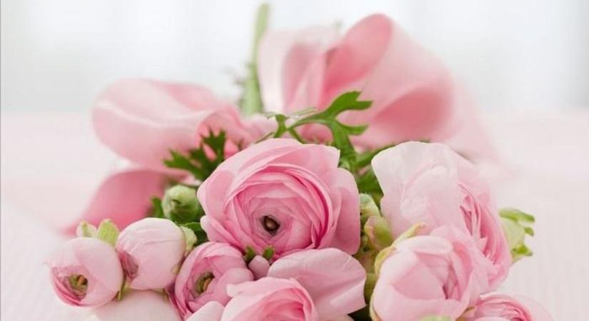 Különleges nőnapi eseményt szerveznek Miskolcon