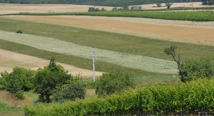 Vízmegtartás és ökológiai vízpótlás: zsebre megy minden ötlet