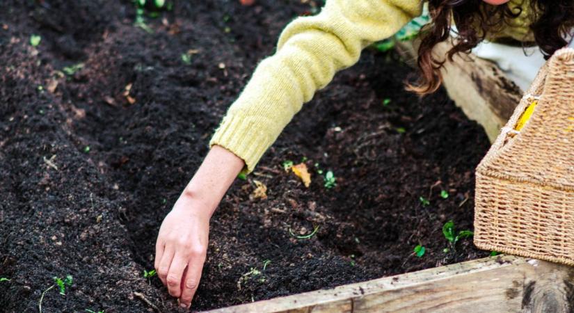 3 jel, hogy a talaj készen áll a vetésre