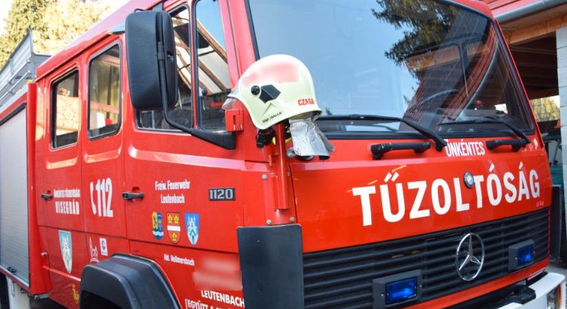 Óriásfenyő dőlt ki a szoboszlói iskola udvarán