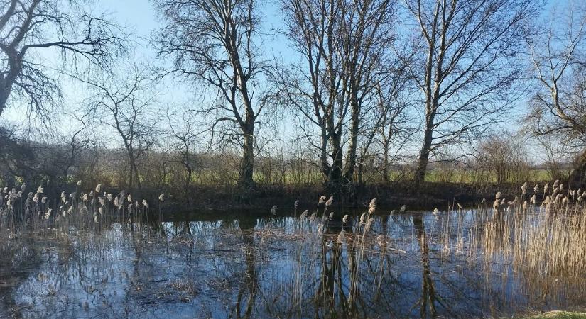 Vízpótlás indult a Kölkedi-főcsatornába a Dunából