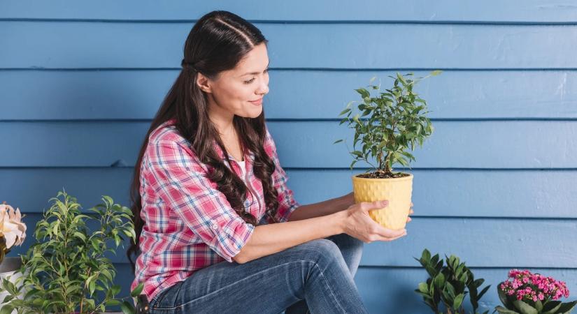 Mit ültessünk márciusban? 5 növény, amit a kezdő balkonládások sem rontanak el