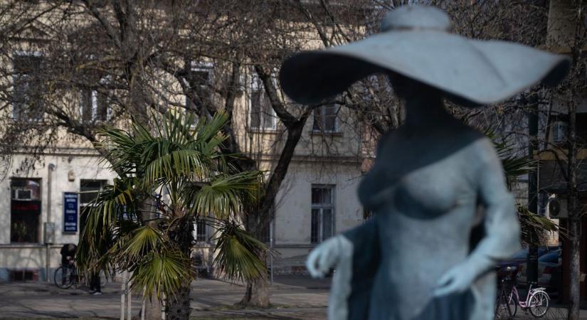 Egzotikus növények lepték el Szegedet – mi történik a várossal? – videóval