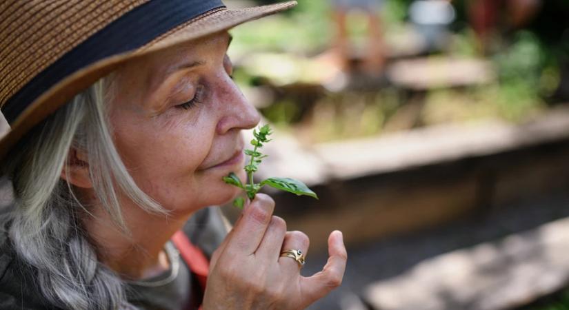 A szaglás romlása lehet az Alzheimer-kór korai jele