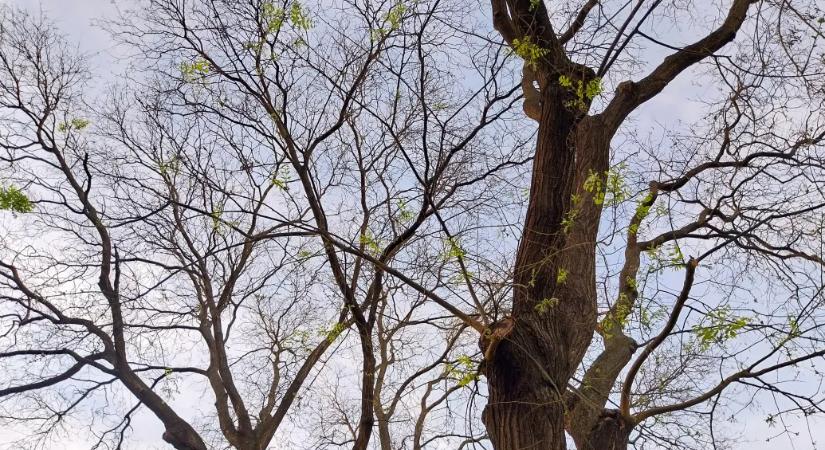 Még napokig derűs, esőmentes időnk lesz