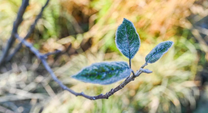 Beütöttek a kemény mínuszok itthon: mutatjuk, hol volt a leghidegebb