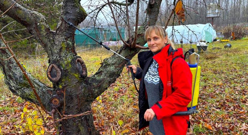 Muszáj lemosó permetezni? Székely Gyöngyvér válaszol!