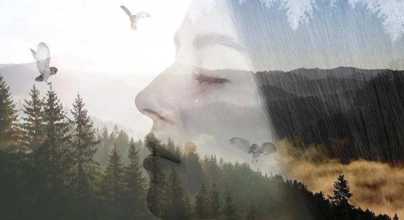 Mi a te spirituális totemállatod? Ez a személyiségteszt felfedi egyéniséged kivételes jellemzőit