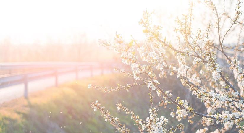 Itt az ideje, hogy élvezd a napsütést! Akár 20 fok is lehet a hétvégén