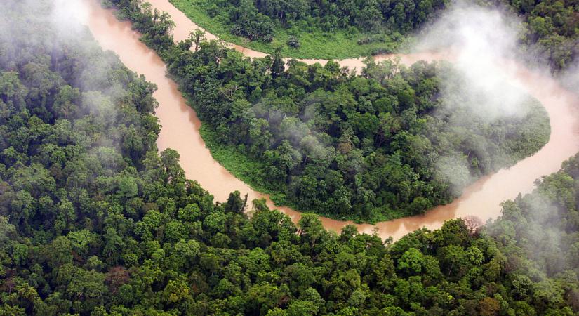Zoológiai csoda, hatezer éve kihaltnak hitt állatok bukkantak fel Nyugat-Pápuán