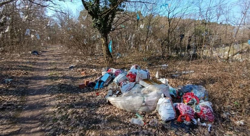 Döbbenet! Szeméthegyek Szombathelyen, a Parkerdő felé vezető úton - fotók