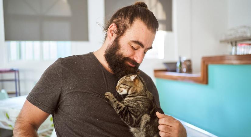 Nem véletlen, ha a macskád a fejével meglök – ez a 3 ok állhat mögötte