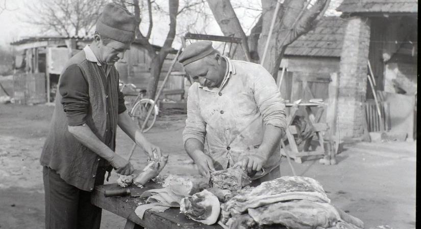 Titkos vágások és kútba rejtett hús: ilyen volt a somogyi disznóölés egy rég elfeledett korban