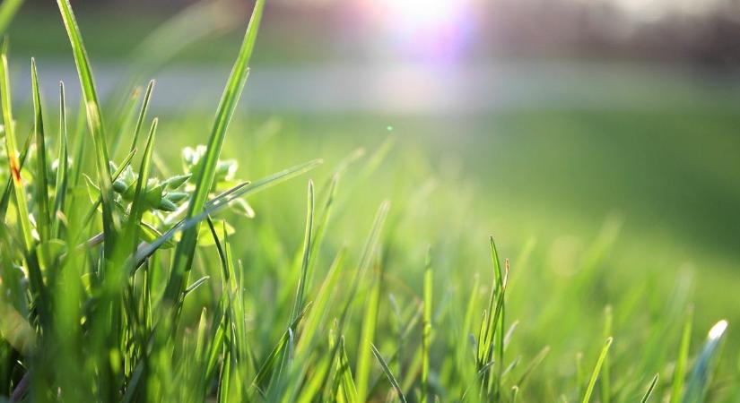 Időjárás: a kabátot nem lehet eltenni, az igazi tavasz még várat magára