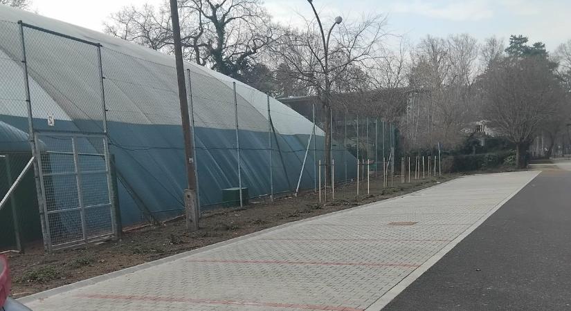 Itt a megoldás a balatoni parkolási káoszra az egyik legforgalmasabb ponton