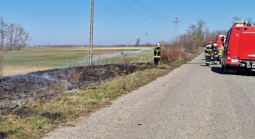 Illegális szemét és aljnövényzet égett Mezőfalván (videóval)
