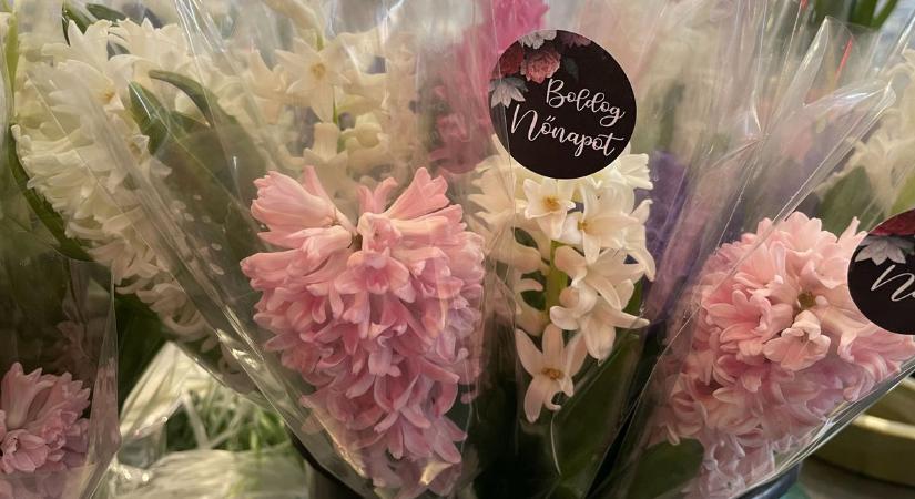 Székesfehérvári piac: nőnap előtt egy nappal körbenéztünk, milyen virágok közül válogathatnak a vásárlók (galéria)