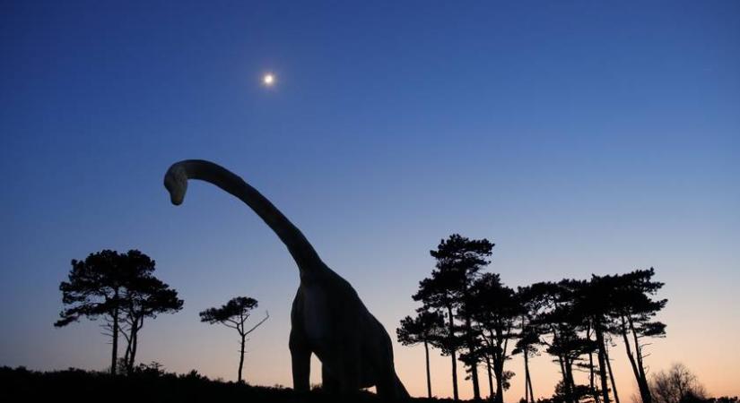 Polipcivilizációk és intelligens dinoszauruszok: ez történt volna, ha az evolúció másfele megy