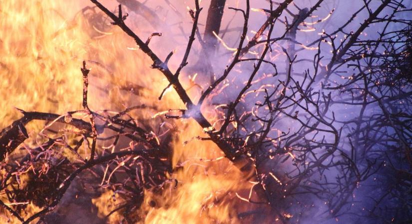 Egyetlen szikra is elég: Márciusban a saját kerted válhat a legnagyobb ellenségeddé