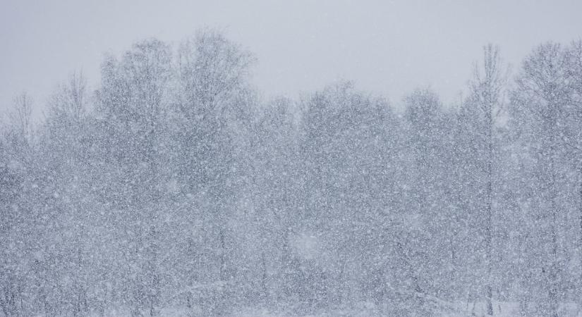 Enyhe, száraz, furcsa – Ilyen volt az idei tél