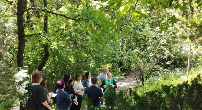 És te ismered Pécs legcukibb kertjét? És tudtad, hogy milyen kalandos a mútja?