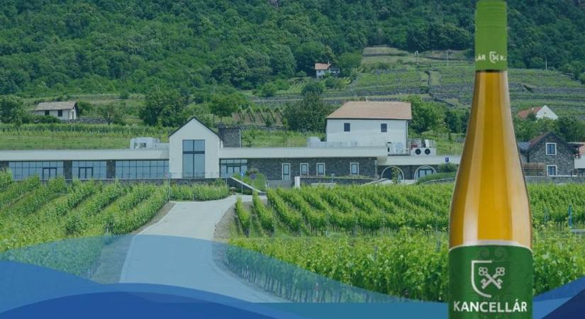 Arany érmes borok a Somló-hegyi Kancellár birtokról, magna cuve, juhfark és a többiek