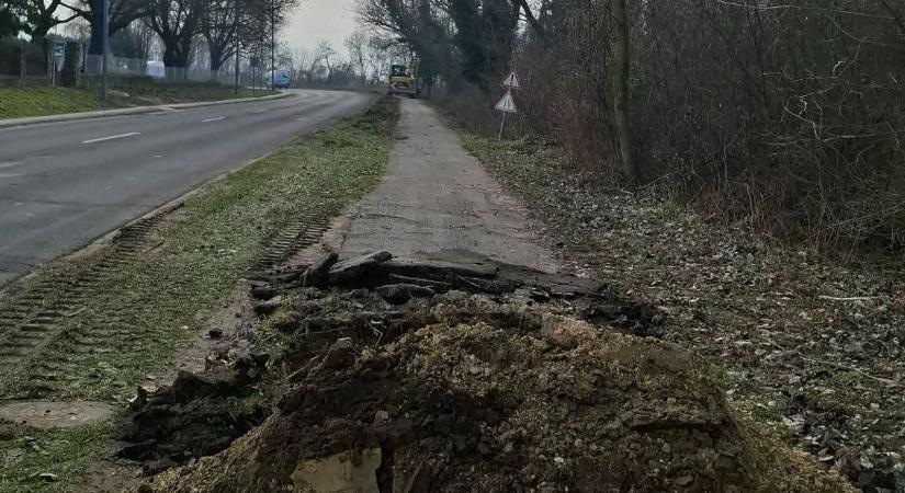 Végre elkezdődött: felújítják a népszerű balatoni kerékpárutat