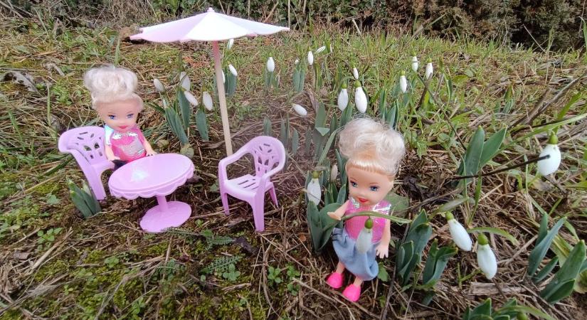 Hiába a csípős reggelek, ezt a tavaszt már nem űzi el semmi