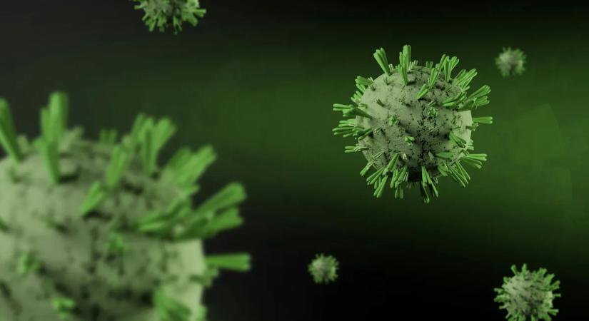 Újra terjed a madárinfluenza - Itt mutatták ki újra a jelenlétét