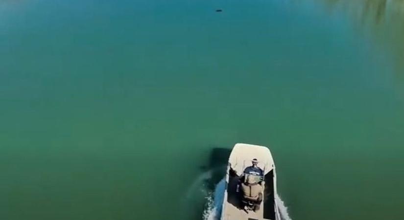 Hát ők nem a halakat várták! Rendőrök érkeztek a Keleti-főcsatornához - videóval!