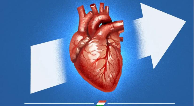 Szántó T. Gábor: Szívátültetés