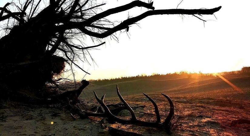 Tízezer forint kilója – mégsem vihette haza a talált kincset