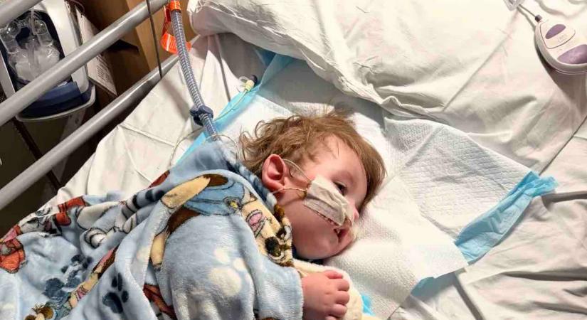 Soha nem látott betegséget diagnosztizáltak egy kisfiúnál, kétségbeesetten próbálják meggyógyítani