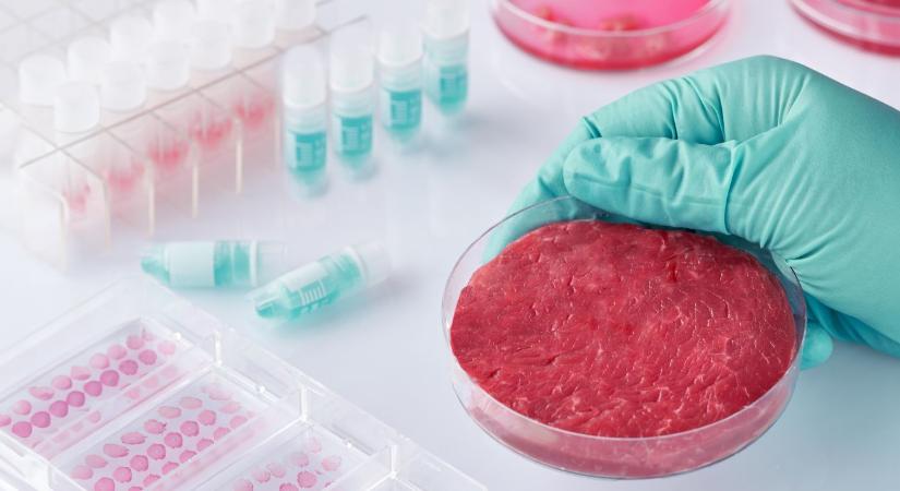 Rejtett kockázat a műhúsban: Az allergia, amivel nem számoltak a fejlesztők