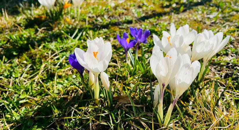 Fejfájás, migrén, vérnyomás-ingadozás – ezt okozhatja a hétvége időjárása