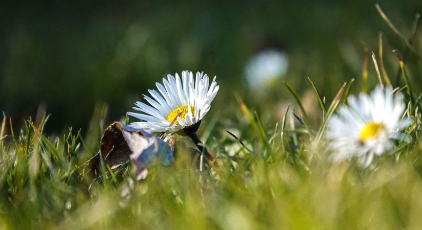 Nagy hőmérsékleti fordulat jön: fagyos reggel után tavaszias délután vár Veszprémre