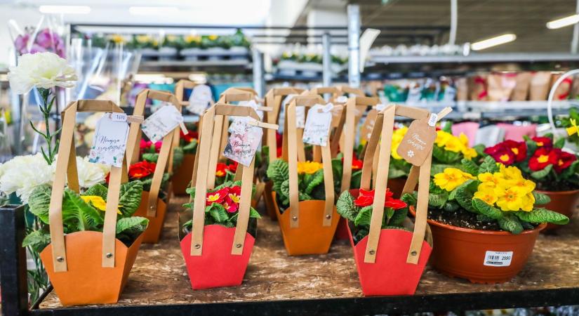 Idén vasárnapra esik a nőnap, sokan ezért megúszásra játszottak a munkahelyen!