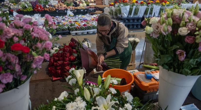 Megnéztük a nőnapi virágárakat Szegeden: ennyit kérnek egy rózsáért a Mars téren