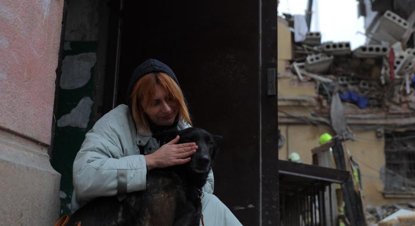 Mi történik a háború sújtotta területen maradt kutyákkal?