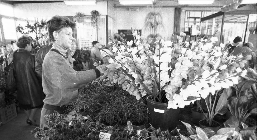 Amikor Pécs virágzó város volt – rengeteg képpel jövünk! (GALÉRIA)