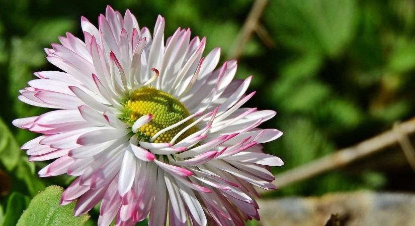Derült idő és kellemes tavasz: 19 fokig melegedhet a levegő a hét elején
