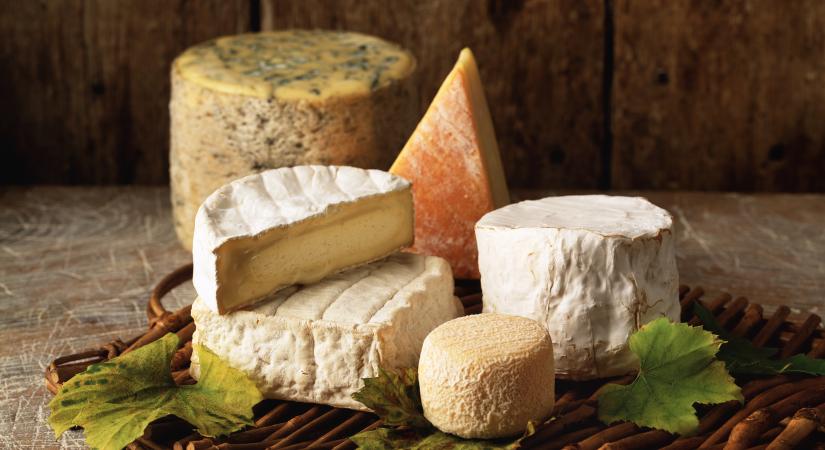 Gasztrokvíz: hány sajtot ismersz fel pusztán ránézésre?