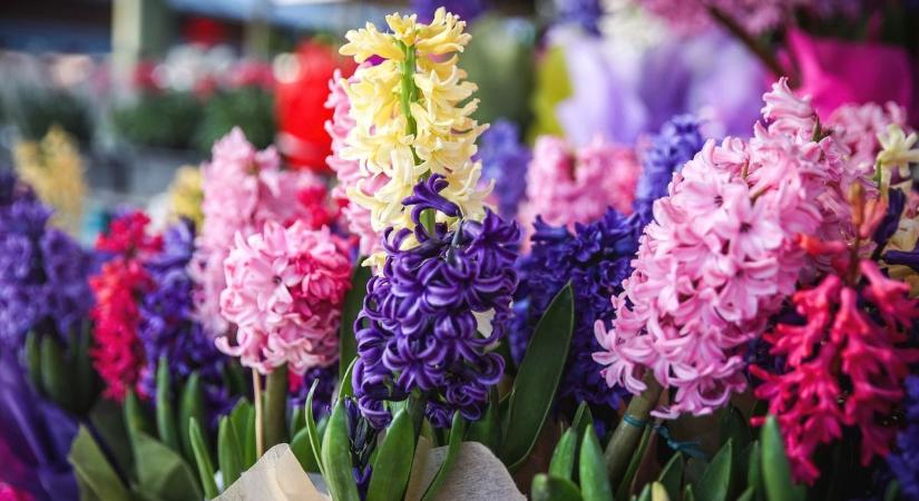 Virág mellé tökéletes ajándék: kihagyhatatlan nőnapi ajánlattal készülnek Debrecenben!