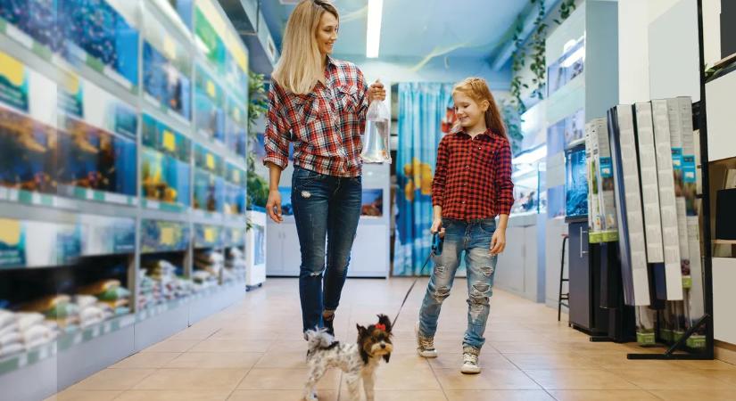 A jó gazdi ismérve: ezeket az egyszerű szabályokat tartsd be, ha kutyával szeretnél vásárolni