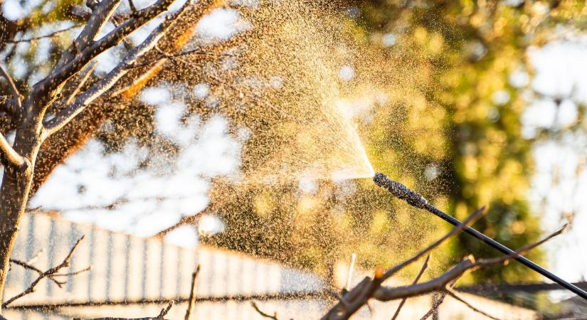 Lombfakadás előtti permetezés: mikor indokolt és mikor kerülhető el?