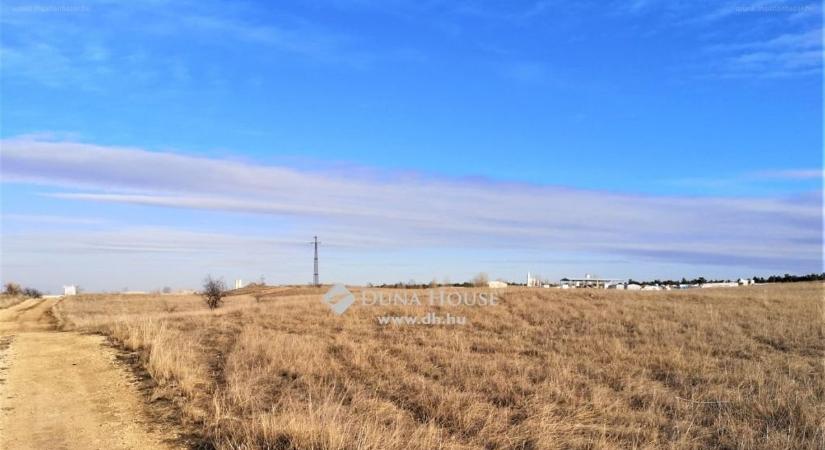 A szemed dörzsölgeted a legolcsóbb veszprémi telkektől, ennyiért jó kocsit se kapsz