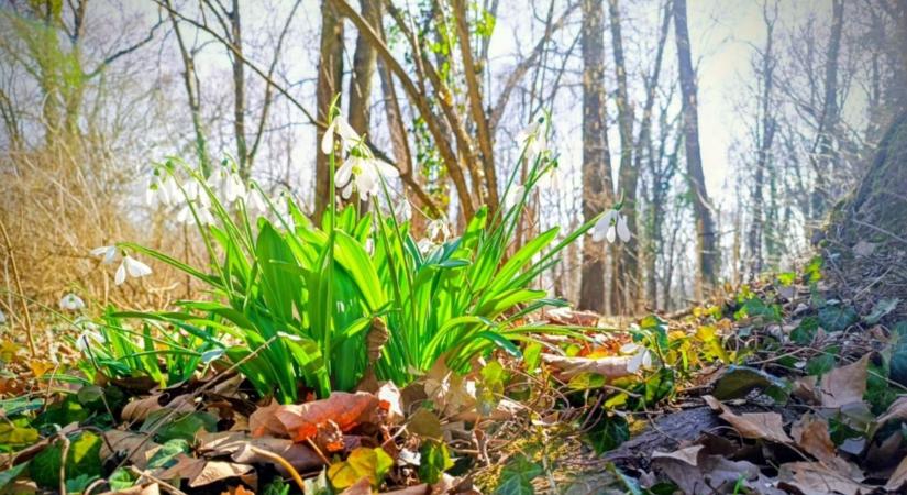 Szinte másolja magát az időjárás - marad a fagyos reggel, tavaszias nappal