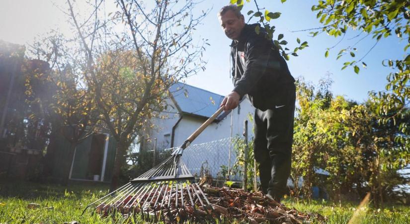 Hiába a saját kerted, mégsem tehetsz meg bármit! Ezért milliókra is büntethetnek
