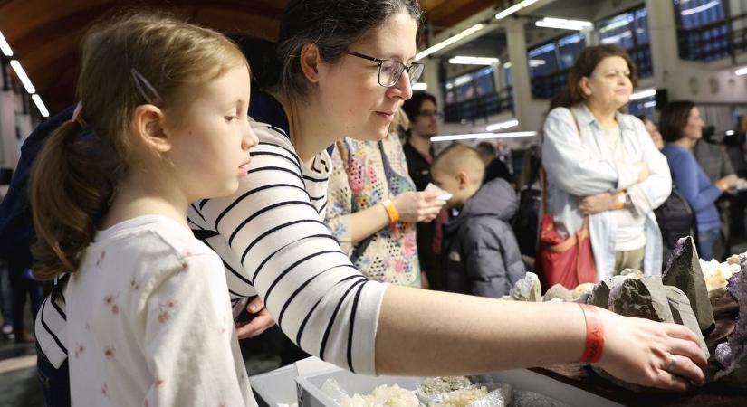 Csillogó kövek, aranymosás és dinoszaurusz: fotókon, videón a 42. Miskolci Nemzetközi Ásványfesztivál